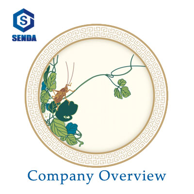 Company Overview